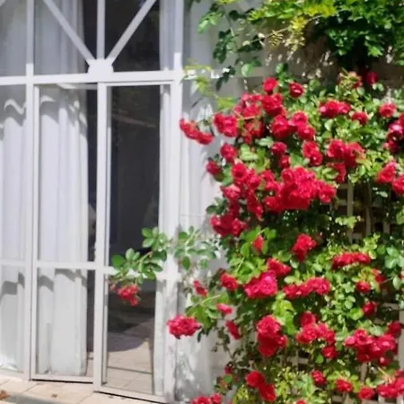 Jas De Location De Charme Avec Piscine Panzió